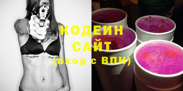 2c-b Ельня