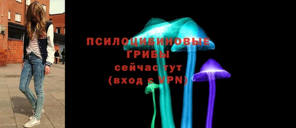 молекула духа Елизово