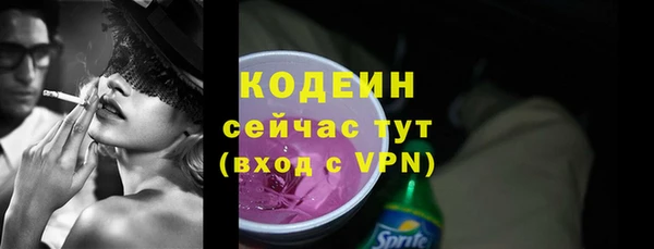 2c-b Ельня