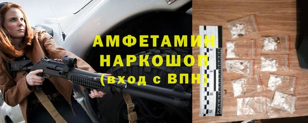 молекула духа Елизово