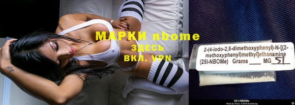 2c-b Ельня