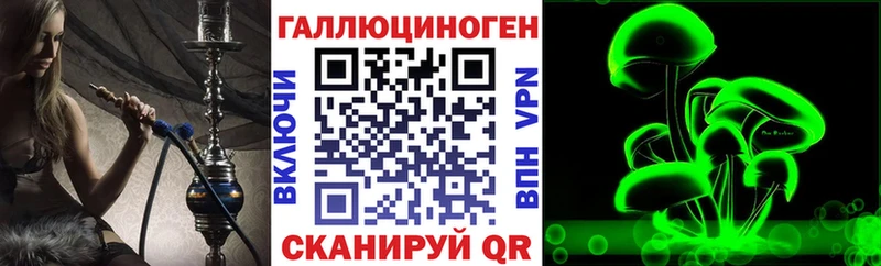 Псилоцибиновые грибы Cubensis  Приморск 