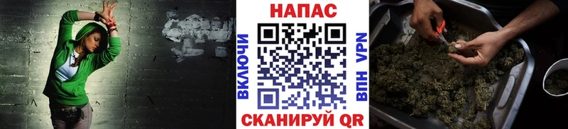 Бошки марихуана планчик Приморск